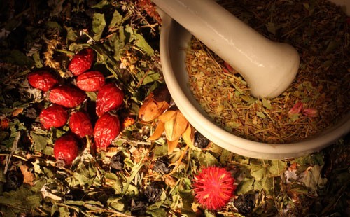 Herbal Medicine