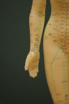Acupuncture Doll